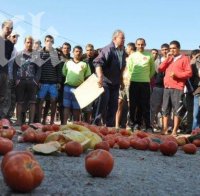 И производителите на домати излизат на протест