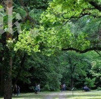 И горите стават курорти

