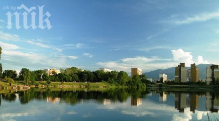 пенсионерка откри шест човешки глави куфар