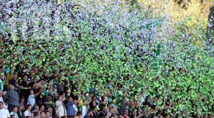 фенове берое подхванаха бфс