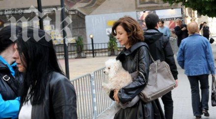 банката цветелина бориславова провали кюрдистан