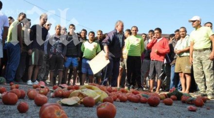 производителите домати излизат протест