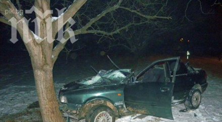 тежък удар дърво погуби двама младежи червен бряг