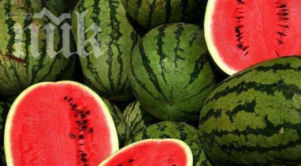 продаваме подарени дини македония