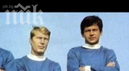 вече години скърбим гунди котето