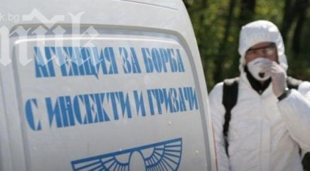 бум кърлежи варна