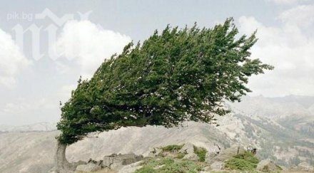 жълт код силен вятър бургас варна добрич