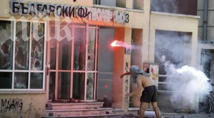 росен животното обвинен погрома бфс