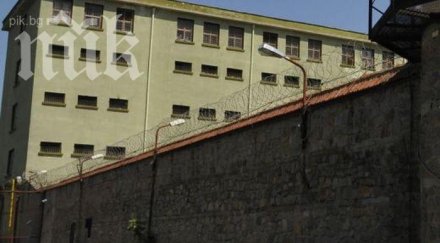 ром пещера продавал български бебета италия