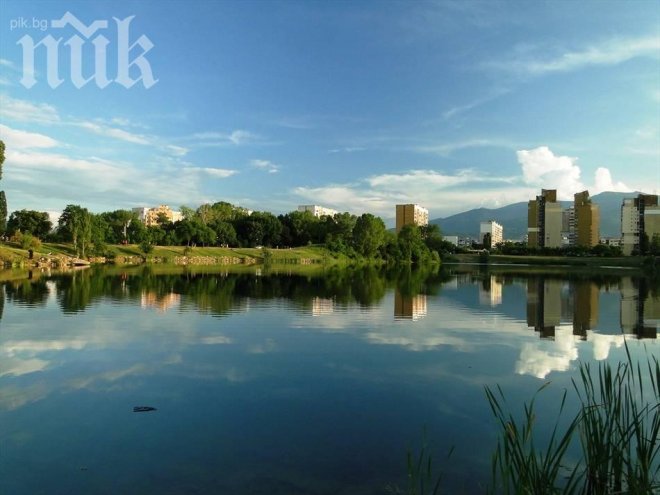 Пенсионерка откри шест човешки глави в куфар