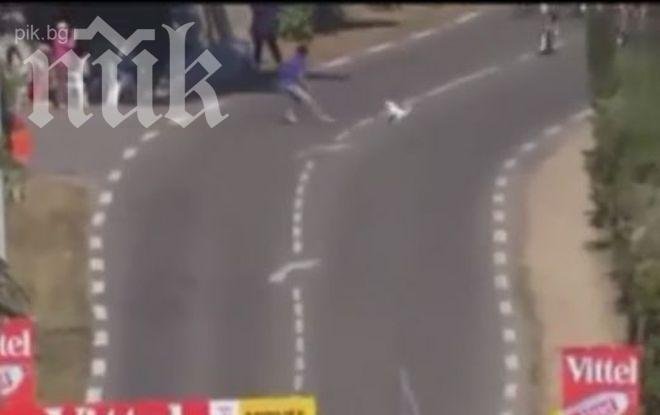 Куче шашна колоездачи на Тур дьо Франс (видео)