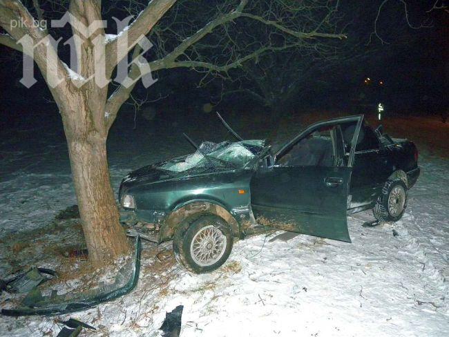Тежък удар в дърво погуби двама младежи в Червен бряг