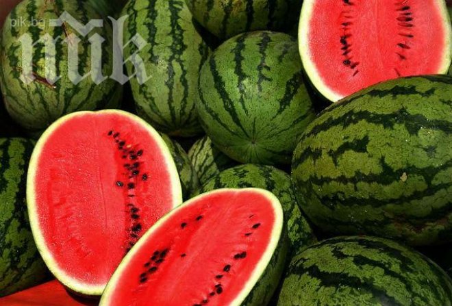 Гръцката динена мафия убива българските производители