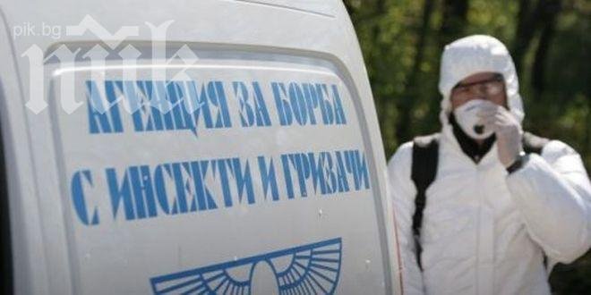 Бум на кърлежи във Варна