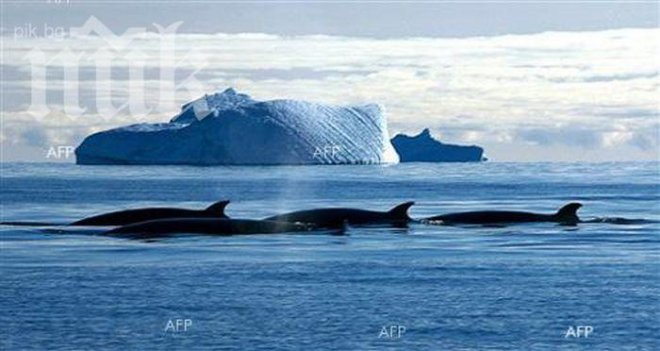 От 2015 г. в Северното полушарие на Земята ще започне захлаждане на климата, сочат учени 