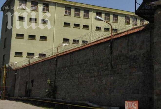 Ром от Пещера продавал български бебета в Италия