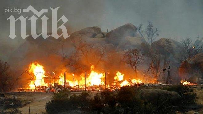 25 пожарникари загинаха в борба със стихията в Аризона