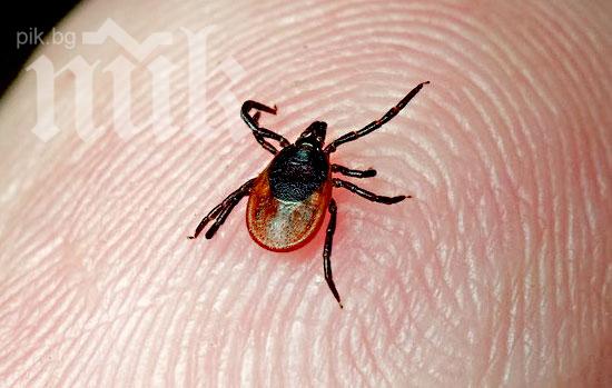 Два случая на смъртоносната кримска хеморогична треска в Кърджали