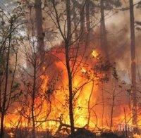 Пожар бушува край Клисура, 30 души се хвърляха да гасят пламъците