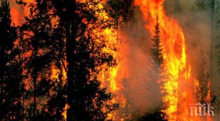 трагедия души загинаха горски пожар китай