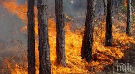 овладян пожарът клисура