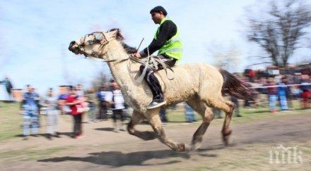 радомир организира конни надбягвания