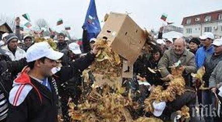 тютюнопроизводители блокират пътя шумен силистра