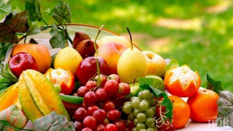 ТРЕВОЖНИ ЦИФРИ: Българите консумират най-малко плодове и зеленчуци в ЕС
