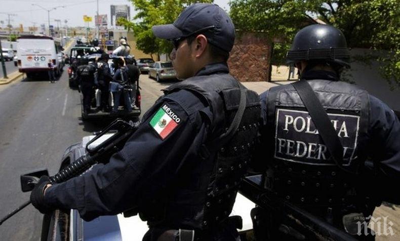 Властите в Мексико спасиха над 330 мигранти от търговци на хора