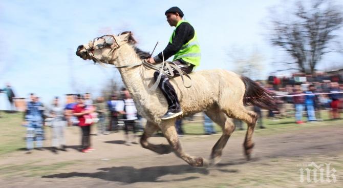 Радомир организира конни надбягвания