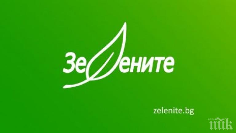 ШАХ С ПЕШКАТА: Върховният касационен съд удари зелените
