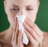 Връхлитат ни 3 опасни пролетни алергии