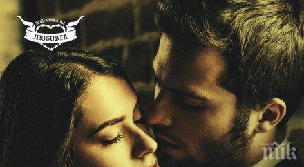 гореща страст разтърсваща драма любовната класика прелъстителят търсете цена