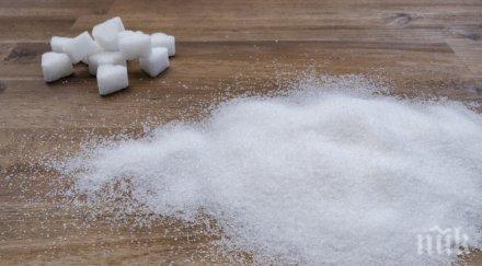 захарта излиза солено варна шумен