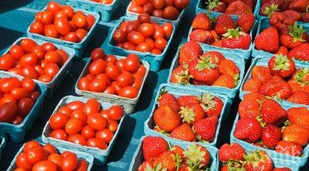 гръцки зарзават убива ниски цени родния