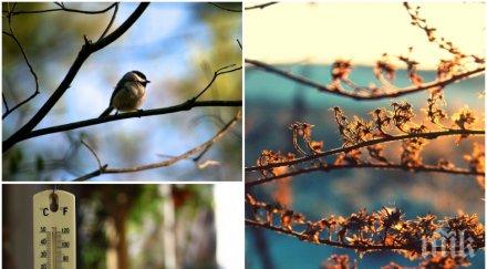 супер прогноза влизаме уикенда слънце температури градуса