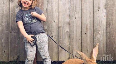 родители направиха необикновен подарък тригодишното момиченце снимки