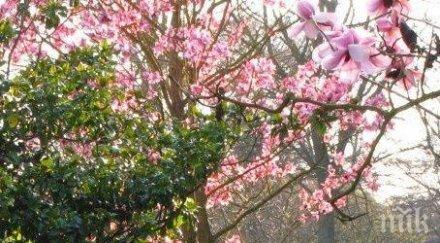 астролог съветва подстрижете купувайте нищо внимавайте алкохола