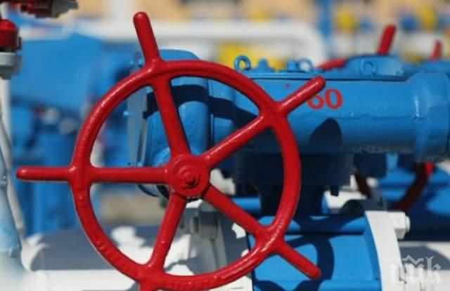 Бивш министър на околната среда: Руските доставки на газ могат да се заменят