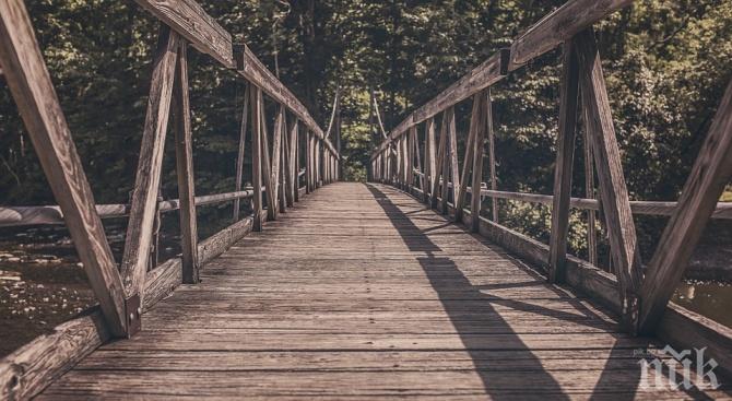 Туристи изградиха мост над река Ябланишка