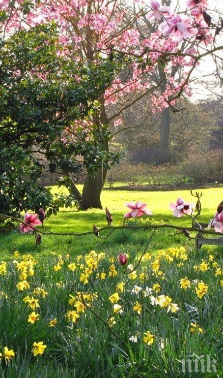 Астролог съветва - подстрижете се, не купувайте нищо и внимавайте с алкохола