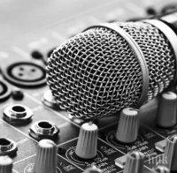 БГ музиката печели близо 11 млн. лв. за година