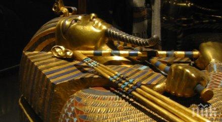 пряк ефир отварят древноегипетски саркофаг директно предаване телевизията