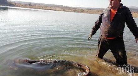 рибарите скочиха източването язовирите