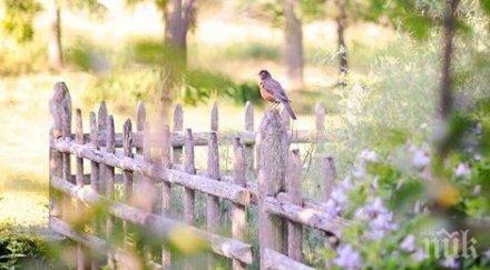 звездите говорят доброто време комуникация забранено показвате гнева