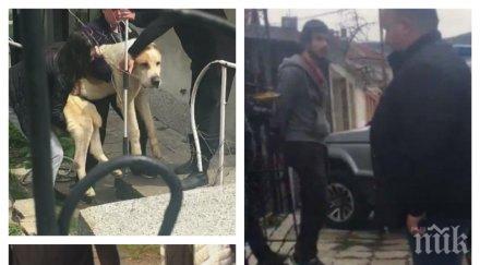 пик вижте пернишкия садист умъртвил кучета елитната порода алабай наказан месеца пробация видео снимки