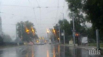 пороят пловдив удави умните светофари