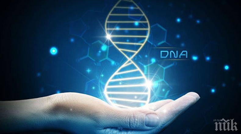 ШОК: 30 души научиха, че са братя и сестри от един донор