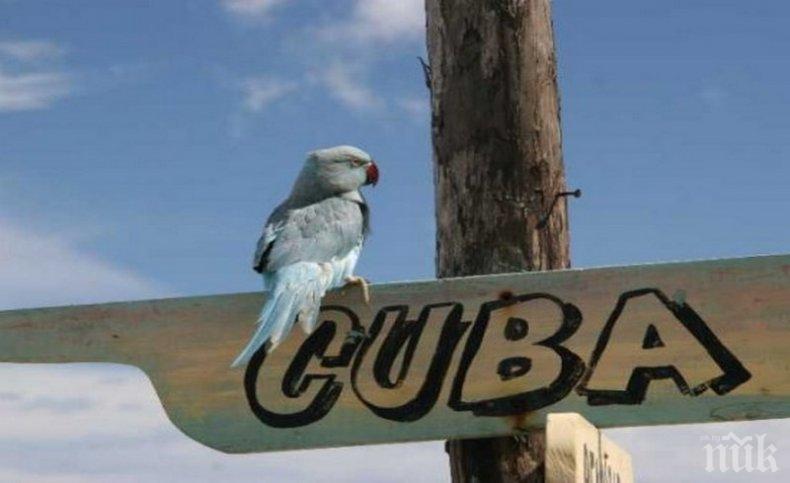 Защитници на животните шестваха в Хавана 