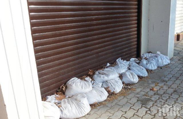 ШОК В ПЛОВДИВ: Подземните гаражи се превърнаха в жабарници